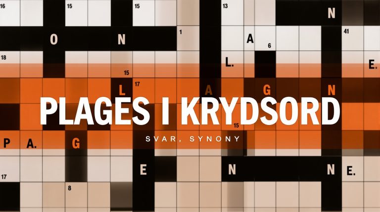 plages i krydsord