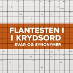 flintesten i krydsord