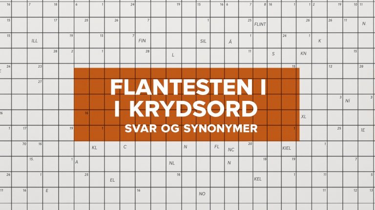 flintesten i krydsord